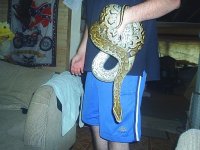 new_rock_14.jpg