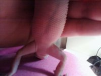 belly.jpg