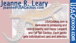 USA Geckos business card.jpg