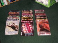 ReptiliaLot1.jpg