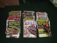 Reptiles.jpg
