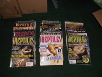 Reptiles1.jpg