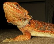 IMG_1537.jpg