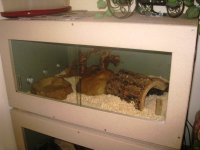 enclosure.jpg
