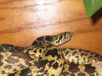 IMG_0057.jpg