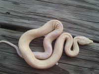 2011-09-03 18.54.48.jpg