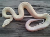 2011-09-03 18.56.10.jpg