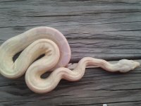 2011-09-03 18.52.48.jpg