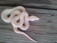 2011-09-03 18.48.53.jpg
