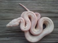 2011-09-03 18.49.27.jpg