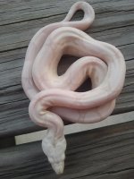 2011-09-03 18.50.14.jpg