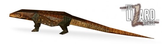 Cutout of Final - COPYRIGHTED.jpg