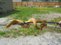 IMG_0167.jpg