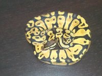 2011-08-19 15.33.31.jpg