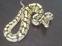 2011-08-19 15.35.10.jpg
