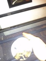 IMG_20111214_195101.jpg
