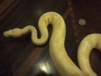 IMG_20111214_200812.jpg
