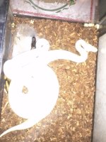 IMG_20111214_200849.jpg