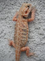DSCF5340.jpg