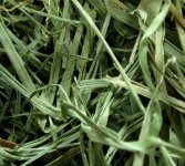 orchard_hay.jpg