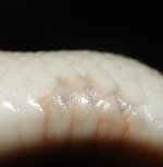 DSC_3978.JPG