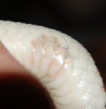 DSC_3981.JPG