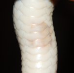 DSC_3983.JPG