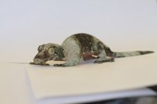 IMG_4031.jpg