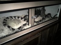 IMG-20110906-00029 (Medium).jpg