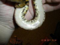 DSCN4183.jpg