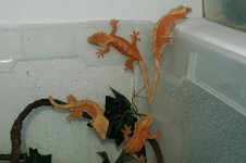 DSC_4871.jpg