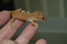 DSC_5022.jpg