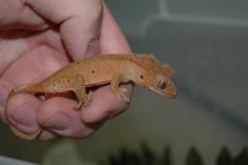 DSC_5025.jpg