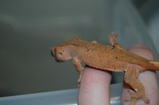 DSC_5026.jpg