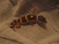 IMG_2643.jpg