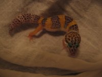 IMG_2649.jpg