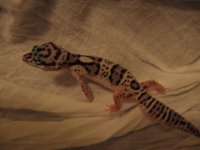 IMG_2650.jpg