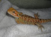DSC05272.jpg