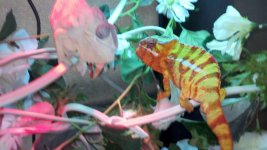 2011-10-08_12-46-07_395.jpg