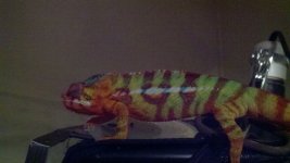 2011-10-08_12-41-50_495.jpg