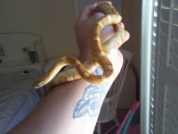 2011-10-13 12.32.42.jpg
