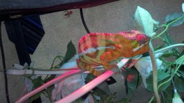 2011-10-08_12-47-22_660.jpg