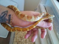 2011-10-13 12.33.26.jpg