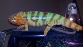2011-10-08_12-41-54_418.jpg