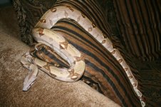 new camera pics 490.jpg
