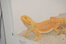 DSC_0074.jpg