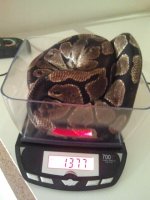2011-09-06 01.32.48.jpg