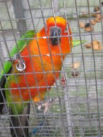 IMG_0195.jpg