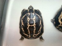 photo(10).JPG