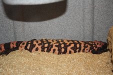 IMG_5316.jpg